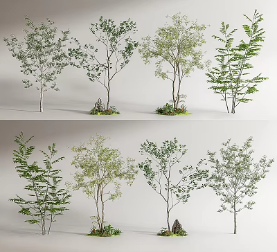 modern tree arbor landscape tree 3d model