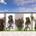 Colorful Climbing Vines With Flowers On White Slatted Vertical Wall Under Blue Sky