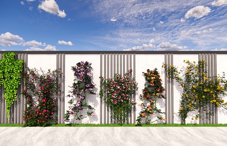 Modern Vine Plant Climbing Vine Rose Campsis Morning glory Rose Green Plant Flower Wall 3d model