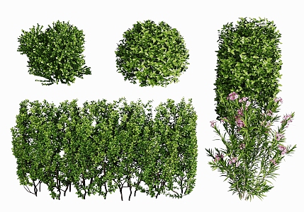 plants flowers and grass 3d model