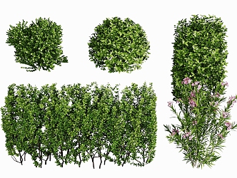 plants flowers and grass 3d model