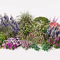 Colorful Garden Flowers With Various Plant Types And Vibrant Blooms
