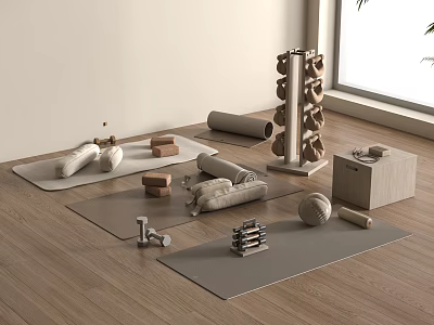 Home Workout Fitness Equipment with Yoga Mats Dumbbells Blocks Foam Rollers and Wooden Storage 3d model