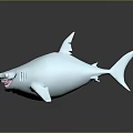 White Shark 3D Model with Open Mouth Sharp Teeth on Dark Background with Reflective Surface 3d model