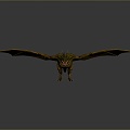 Monster Monster Monster Flying Monster Mountain Essence Alien Monster Alien Monster Monster Warrior 3d model