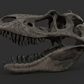 Reptile Fossil Skull With Sharp Teeth And Prehistoric Anatomical Structure 3d model