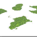 Natural Green Microlandscape Terrain with Irregular Shapes and Lush Vegetation