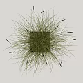 Green Potted Plant With Slender Leaves And Black Spiky Parts In Square Gray Pot