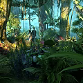 Tropical Forest Scenery with Lush Vegetation Tall Trees Sunlight Through Leaves and a Person Exploring
