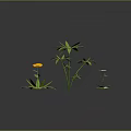 Green Leafy Plants With Yellow And White Flowers On Black Background