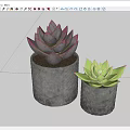 Succulent Bonsai Potted Plants In Gray Concrete Pots With Vibrant Green And Pink Leaves