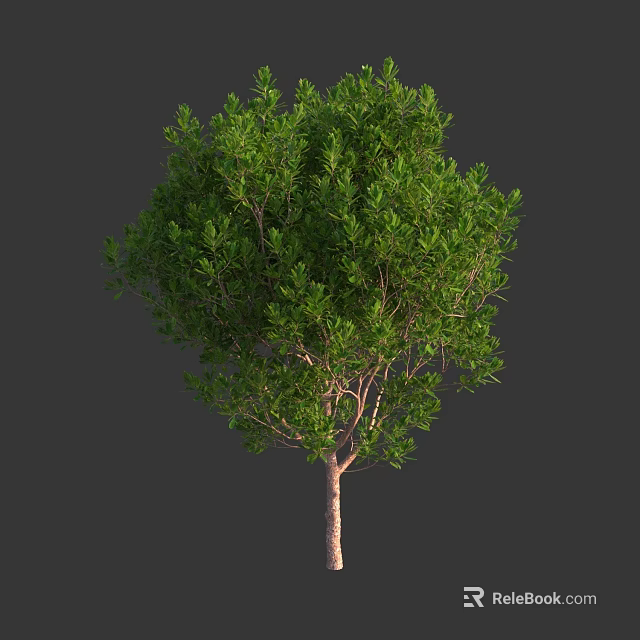 Lush Green Arbor Tree with Dense Foliage and Brown Trunk 3d model 