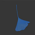 Golden Ginkgo Leaf With Visible Veins Isolated On Dark Background Surface