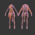 Two Stylish Fashion Costume Designs On Humanoid Models With Decorative Elements