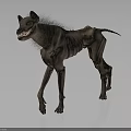 Slender Hyena With Sparse Fur And Prominent Teeth Standing On Gray Background