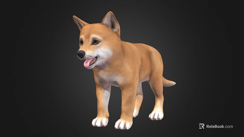 Cute Brown Shiba Inu Standing With Tongue Out On Black Background 3d model 
