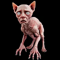 Hairless Alien Like Creature With Wrinkled Skin Large Eyes And Pointed Ears On Black Background