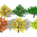Modern Tree Maple Leaf 3d model