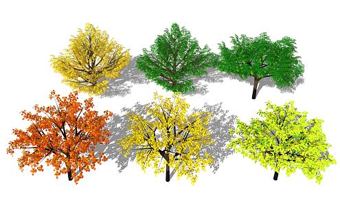 Modern Tree Maple Leaf 3d model