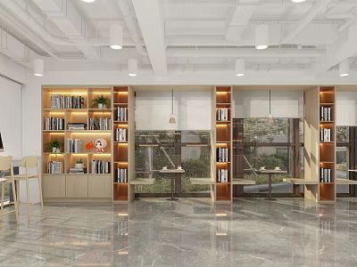 Modern Book Art Reading Space With Wooden Shelves Books Plants And Windows 3d model