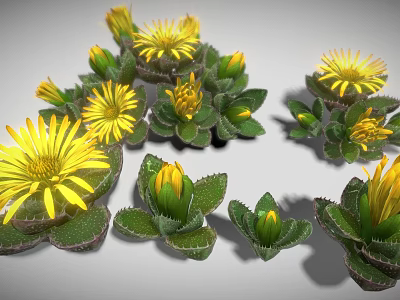 Clustered Yellow Flowering Plants With Green Serrated Leaves And Fresh Blooms 3d model