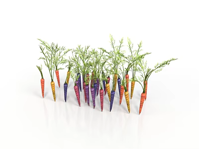 Vibrant Colorful Carrots as Agricultural Crop With Green Tops and Various Hues 3d model
