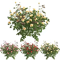 Beautiful Vase with Pink Red Yellow Flowers and Green Leaves for Home Decor
