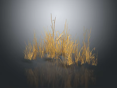 Golden Ornamental Grass Display Against Dark Background With Calm Reflection 3d model