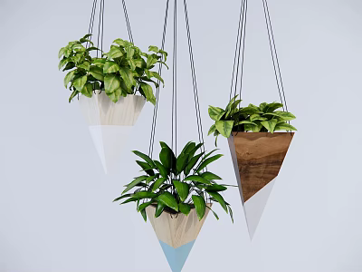 Lush Green Hanging Plants in Conical Wooden White Blue Planters for Interior Decor 3d model