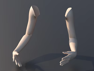White Mannequin Arms for Display in Retail or Fashion Settings 3d model