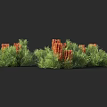 3D Rendered Shrubs With Green Leaves And Orange Flowers On Black Background
