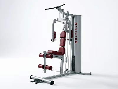 Multigym Fitness Equipment Silver Frame Red Seat Weight Plates And Cable System 3d model