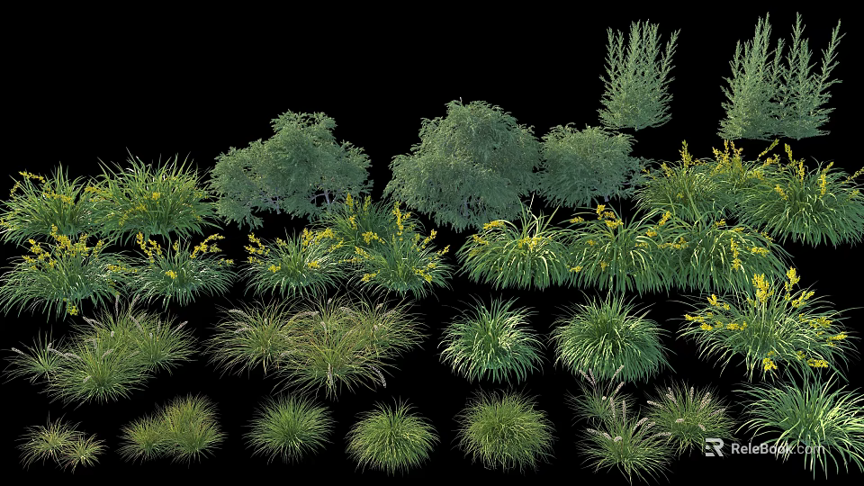 Different Types of Garden Shrubs With Ornamental Grasses And Lush Green Foliage 3d model 