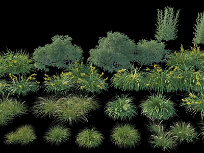 Different Types of Garden Shrubs With Ornamental Grasses And Lush Green Foliage 3d model