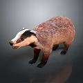 Realistic 3D Badger Model With Brown And White Fur Standing Pose