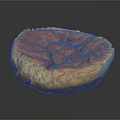Golden Round Baked Pastry With Crusty Surface And Delicious Texture