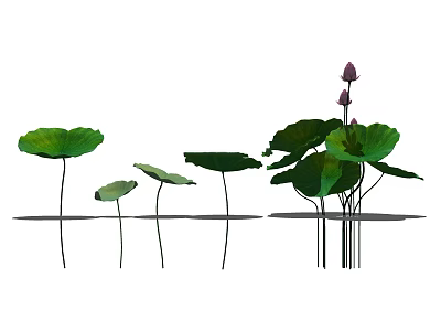 Lotus Plants With Green Leaves And Pink Buds In Natural Pond Setting 3d model