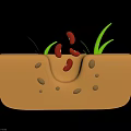 Red Beans Sprouting In Soil With Green Grass Blades And Brown Seeds
