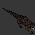 Realistic Crocodile With Open Mouth Detailed Scales And Sharp Teeth On Black Background