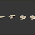 Medical Devices 3D Ear and Head Models with Different Triangle Meshes Detail Levels