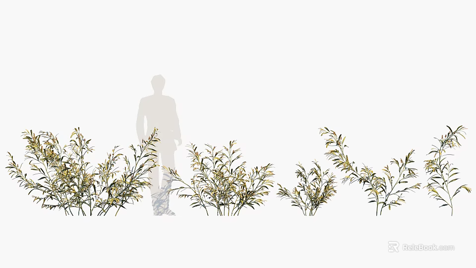 Lush Green Flowering Plants With Fresh Leaves And Natural Outdoor Growth 3d model 