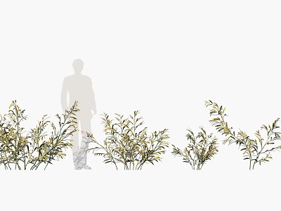 plants flowers and shrubs 3d model