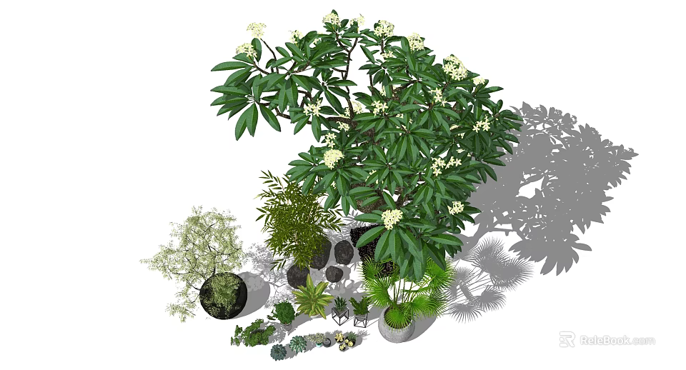 Bonsai and Potted Plants with Various Greenery Stones and Natural Shadow Effects 3d model 
