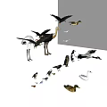 Flying Animals Collection Featuring Eagles Seagulls Ducks Swans Storks And Owls 3d model