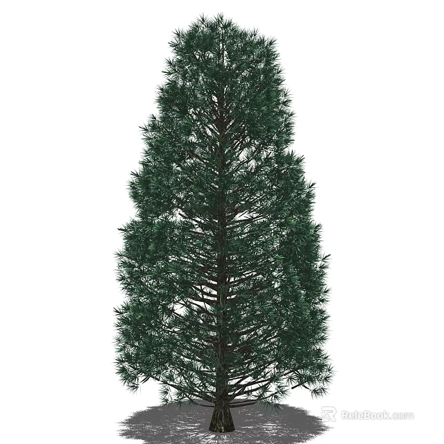 Lush Evergreen Arbor With Tall Straight Trunk And Dense Green Foliage 3d model 