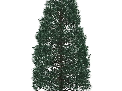 Lush Evergreen Arbor With Tall Straight Trunk And Dense Green Foliage 3d model