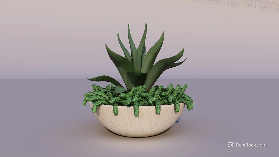Leafy Green Succulent Potted Plant In White Ceramic Bowl With Decorative Plants 3d model 