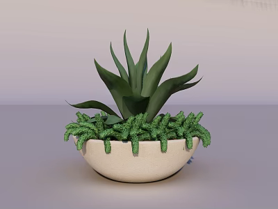 Leafy Green Succulent Potted Plant In White Ceramic Bowl With Decorative Plants 3d model