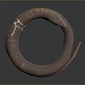 Coiled Brown and Red Patterned Snake on Gray Background with Curled Body