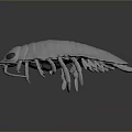 White Creature Model With Red Eyes Long Antennae And Segmented Body On Dark Background